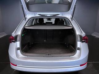 SKODA Octavia usata, con Controllo trazione