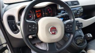 FIAT Panda usata, con Cronologia tagliandi