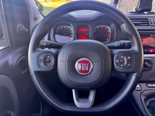 FIAT Panda usata, con Servosterzo