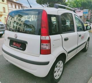 FIAT Panda usata, con Fendinebbia