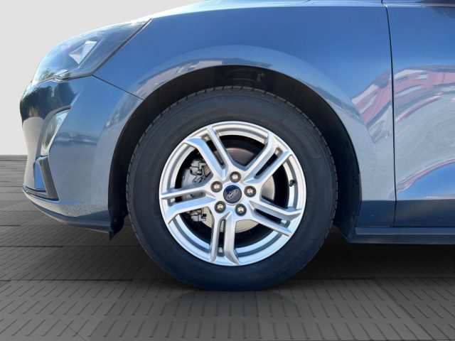 FORD Focus usata 15