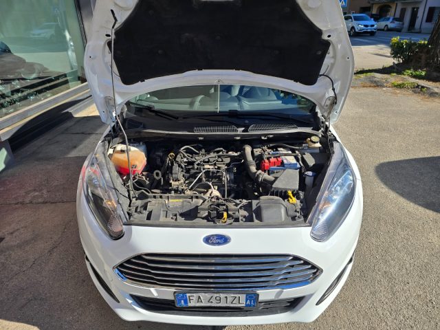 FORD Fiesta usata 83