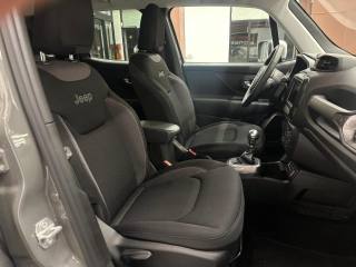 JEEP Renegade usata, con Cruise Control