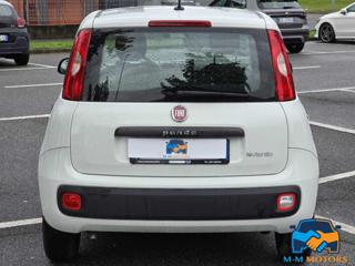 FIAT Panda usata, con Controllo trazione