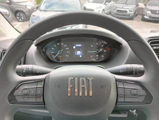 FIAT Ducato usata, con Cruise Control