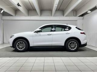 ALFA ROMEO Stelvio usata, con Airbag