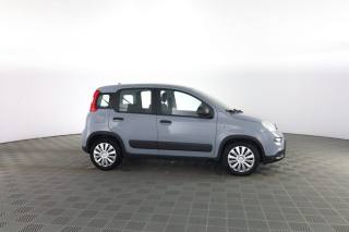 FIAT Panda usata 2