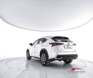 LEXUS NX 300h usata 3