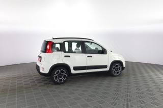 FIAT Panda usata 2