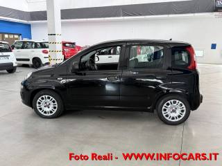 FIAT Panda usata 17