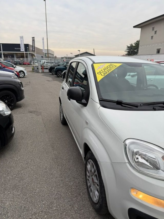 FIAT Panda usata, con Alzacristalli elettrici