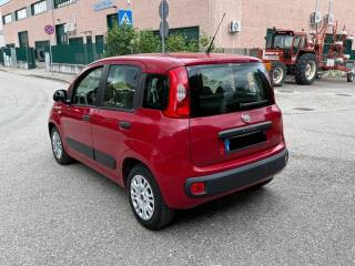 FIAT Panda usata, con Controllo trazione