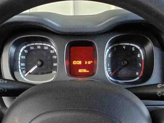 FIAT Panda Cross usata, con Controllo trazione