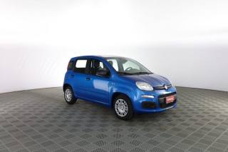 FIAT Panda usata 1