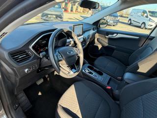 FORD Kuga usata, con Servosterzo