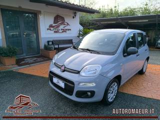 FIAT Panda 1.2 Easy TAGLIANDO+DISTRIBUZIONE OK! PREZZO REALE!