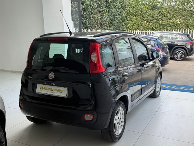 FIAT Panda usata, con Antifurto