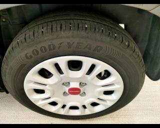 FIAT New Panda usata 17