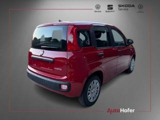 FIAT Panda usata, con Airbag laterali