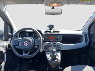 FIAT Panda usata 11