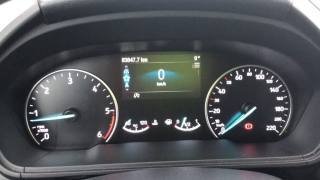 FORD EcoSport usata, con Airbag testa