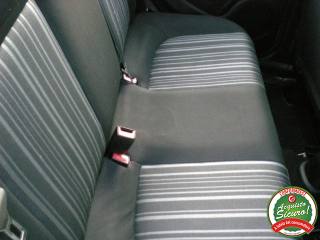 FIAT Punto usata 13