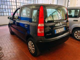 FIAT Panda usata, con Airbag Passeggero