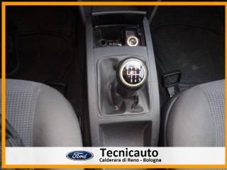 VOLKSWAGEN Polo usata 15
