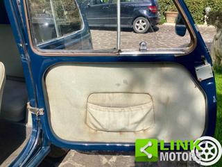 FIAT 500 usata 12