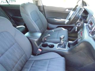 KIA Sportage usata 25