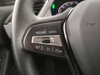 BMW 116 usata, con Bracciolo