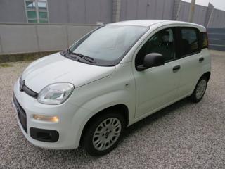 FIAT Panda 1.2 Easy S&S 1200 C.C.
