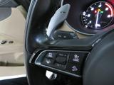 ALFA ROMEO Stelvio usata, con Cruise Control