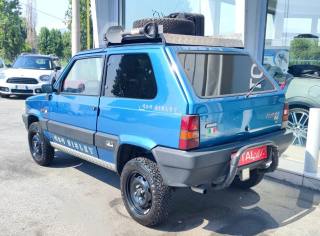 FIAT Panda usata, con Trazione integrale