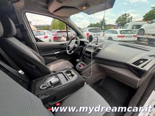 FORD Transit Connect usata, con Fendinebbia