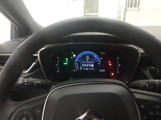 SUZUKI Swace usata, con Servosterzo