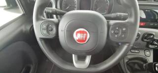 FIAT Panda usata 45