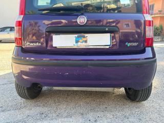 FIAT Panda usata 10