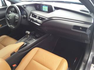 LEXUS UX 250h usata, con ESP