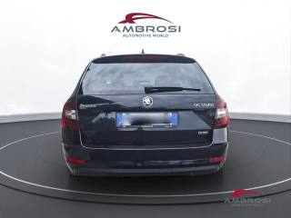 SKODA Octavia usata 7