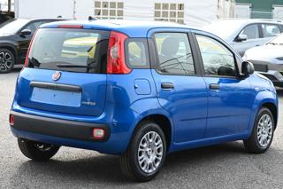 FIAT Panda usata, con Antifurto