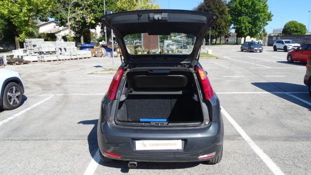 FIAT Punto usata 104