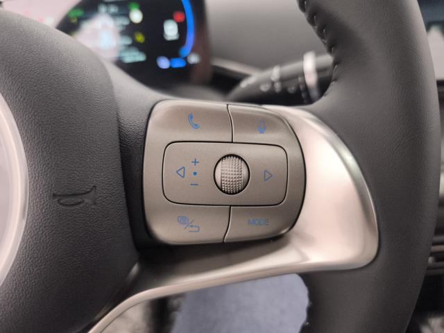 BYD Dolphin Surf usata, con Servosterzo