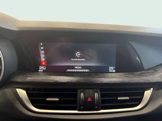 ALFA ROMEO Stelvio usata, con Bracciolo