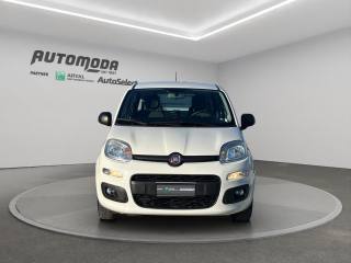 FIAT Panda usata 1