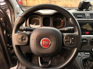 FIAT Panda usata, con Controllo trazione