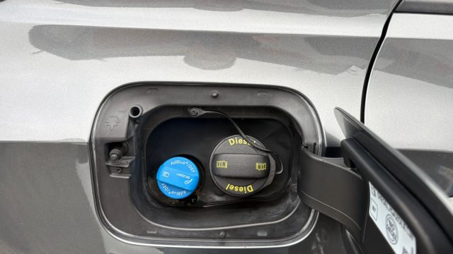 VOLKSWAGEN T-Roc usata, con Sensore di pioggia