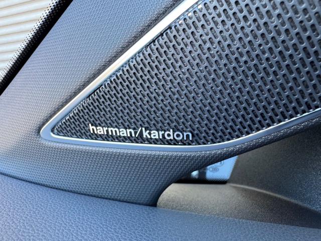 VOLKSWAGEN Golf usata, con Controllo elettronico della corsia