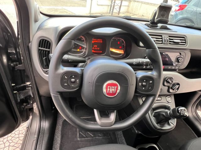 FIAT Panda usata 14