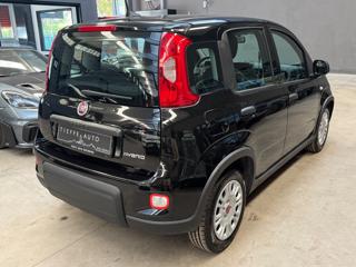 FIAT Panda usata, con Alzacristalli elettrici